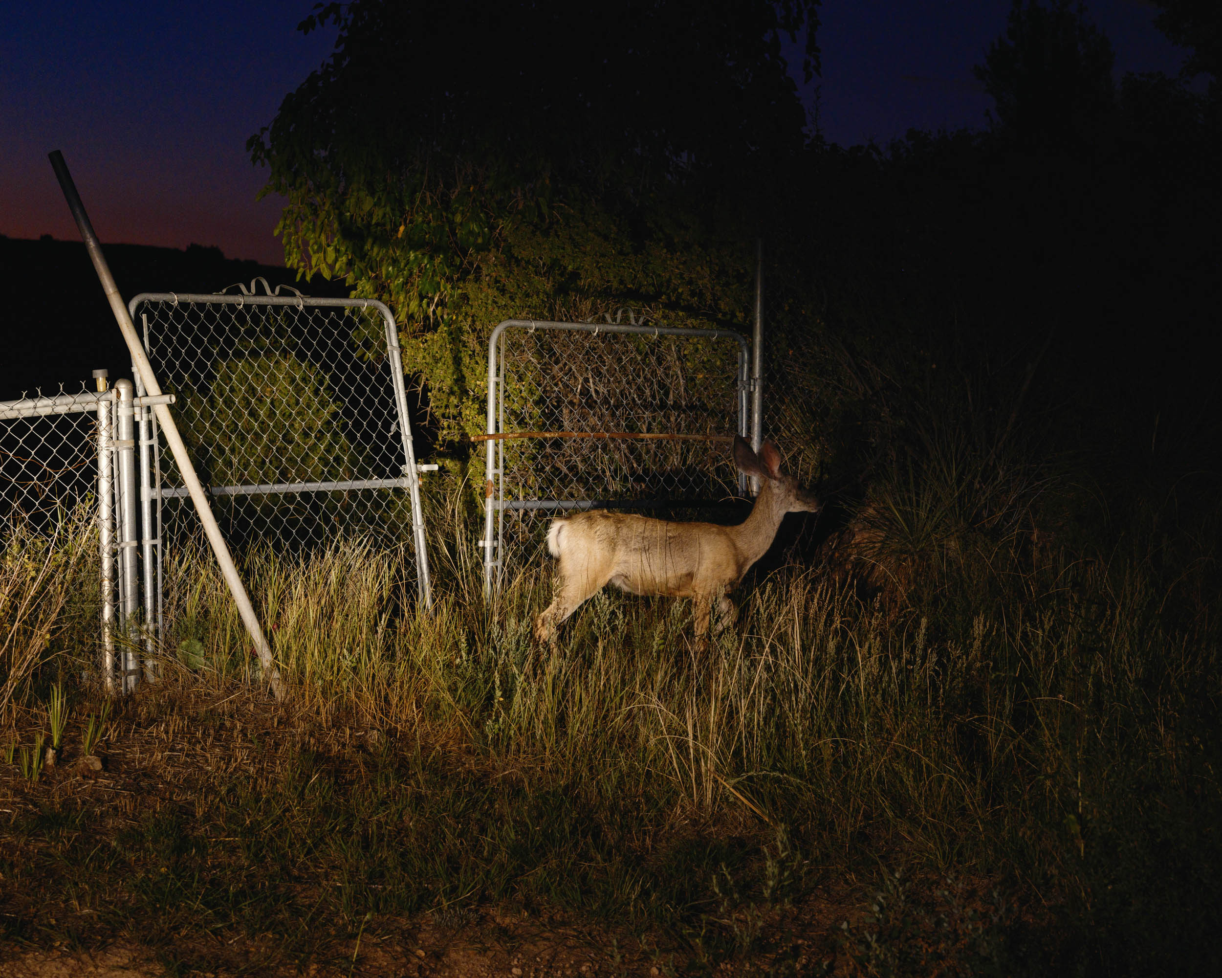 Photograph from Magnus Holmes's Michiko series